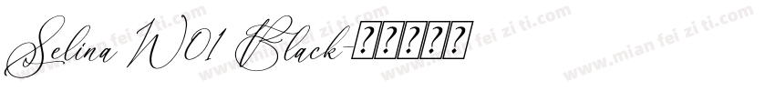Selina W01 Black字体转换